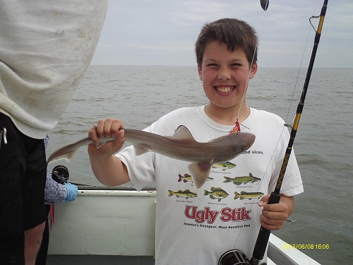 https://www.anglersfishingcenter.com/images/Shark%20Fishing%20For%20Kids.jpg