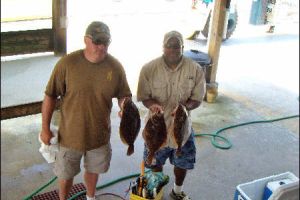 lewes delaware party boat fishing 10 20200405