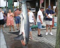 lewes delaware party boat fishing 12 20200405