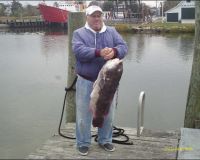 lewes delaware party boat fishing 21 20200405