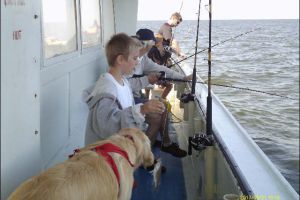 lewes delaware party boat fishing 31 20200405