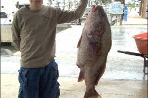 lewes delaware party boat fishing 5 20200405